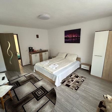 Отель Casa Lenu & Lian Сигишоара Экстерьер фото