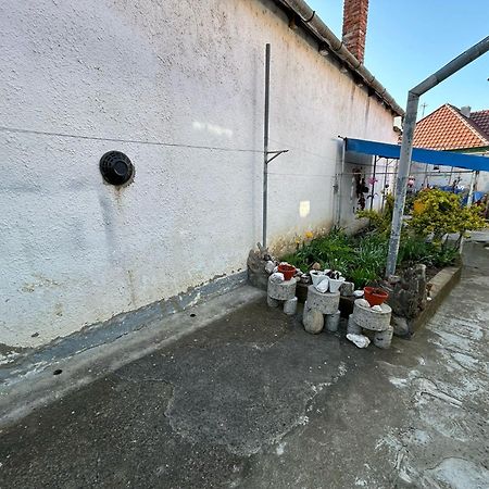 Отель Casa Lenu & Lian Сигишоара Экстерьер фото